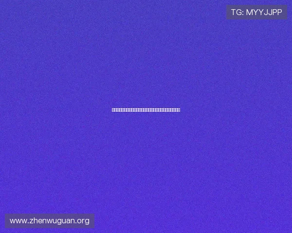 新西兰与比利时世界杯比赛视频回放高清版全场集锦与精彩瞬间